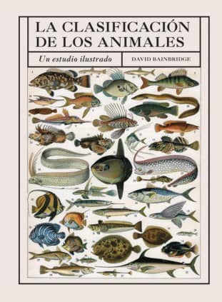LA CLASIFICACION DE LOS ANIMALES
