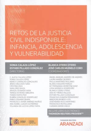 Retos de la justicia civil indisponible: infancia, adolescencia y vulnerabilidad (Papel + e-book)