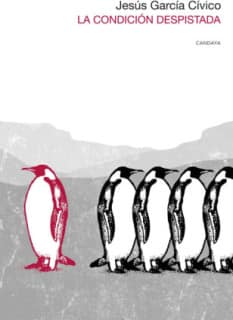 La condición despistada