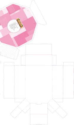 Áreas integradas. 1 Infantil. Castoria