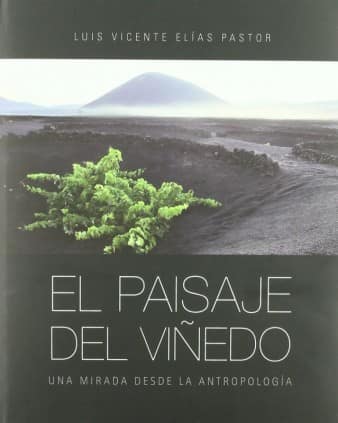 El paisaje del viñedo