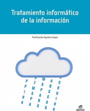 TRATAMIENTO INFORMATICO DE LA INFORMACIO