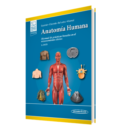 ANATOMIA HUMANA 3 ED