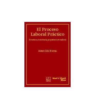 El Proceso Laboral Practico