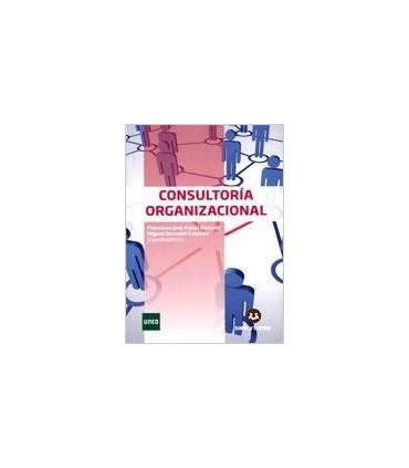 CONSULTORIA ORGANIZACIONAL