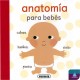 Anatomía para bebés