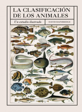 LA CLASIFICACION DE LOS ANIMALES