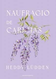 Naufragio de caricias