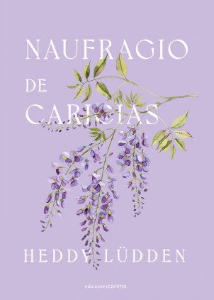 Naufragio de caricias