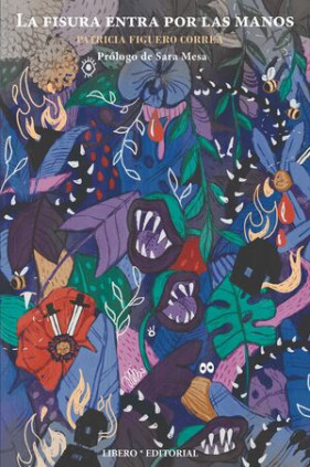 LA FISURA ENTRA POR LAS MANOS