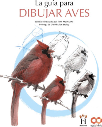 LA GUIA PARA DIBUJAR AVES