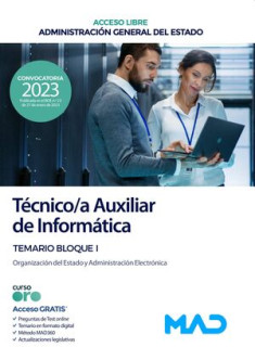 TECNICO AUXILIAR INFORMATICA ESTADO V1