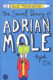SECRET DIARY OF ADRIAN MOLE *ED ESPECIA