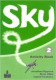 SKY 2 EJERCICIOS