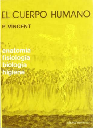 El cuerpo humano