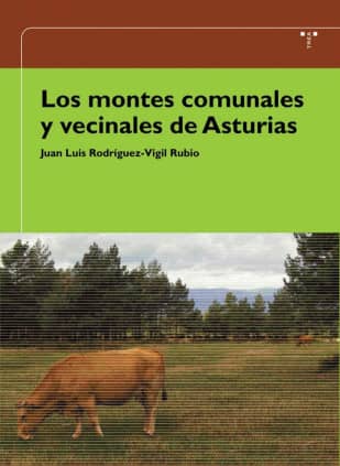 Los montes comunales y vecinales de Asturias