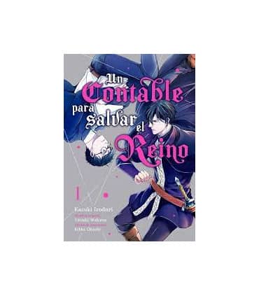 UN CONTABLE PARA SALVAR EL REINO VOL 1