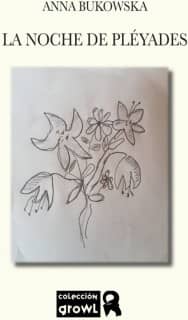 LA NOCHE DE PLÉYADES