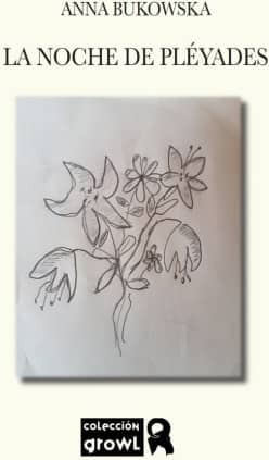 LA NOCHE DE PLÉYADES