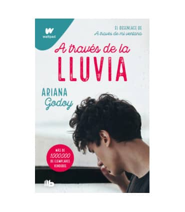 A través de la lluvia (edición revisada por la autora) (Trilogía Hermanos Hidalgo 3)