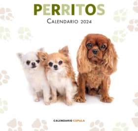 Calendario Perritos 2024