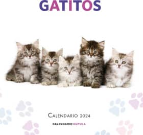Calendario Gatitos 2024
