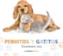 Calendario Perritos y gatitos 2024