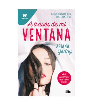 A través de mi ventana (Trilogía Hermanos Hidalgo 1)