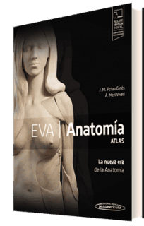EVA. Anatomía. ATLAS