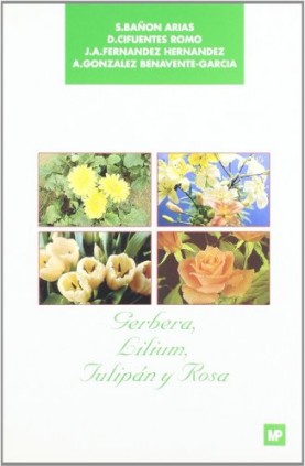 Gerbera , lilium, tulipán y rosa