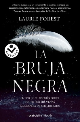 La Bruja Negra (Las Crónicas de la Bruja Negra 1)