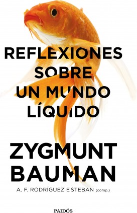 Reflexiones sobre un mundo líquido