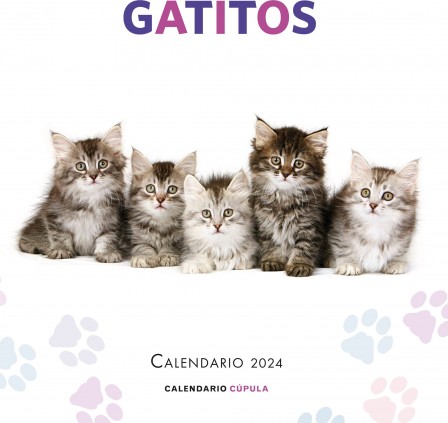 Calendario Gatitos 2024