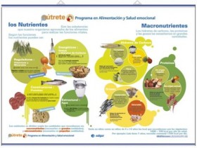 Los Nutrientes, macronutrientes / Micronutrientes: Minerales y vitaminas
