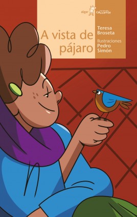 A VISTA DE PAJARO