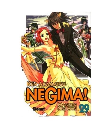 Negima! 29