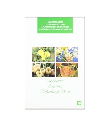 Gerbera , lilium, tulipán y rosa