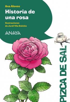 HISTORIA DE UNA ROSA