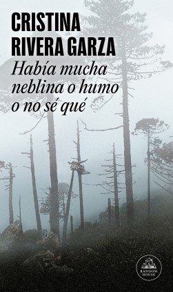 Había mucha neblina o humo o no sé qué (Mapa de las lenguas)