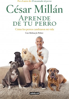 Aprende de tu perro