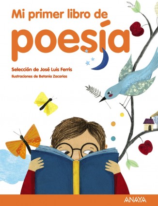MI PRIMER LIBRO POESíA