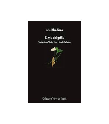 EL OJO DEL GRILLO