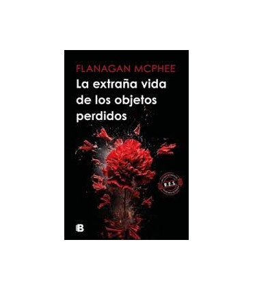 La extraña vida de los objetos perdidos