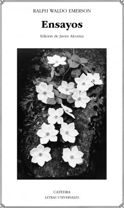 Ensayos