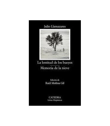 LA LENTITUD DE LOS BUEYE