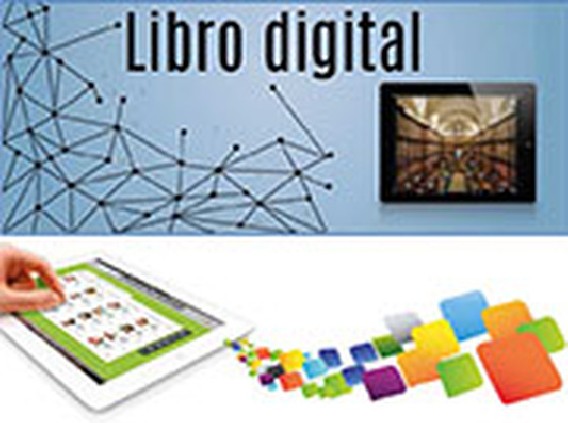 BL Dise|o y organizacion de empresas. Libro Digital