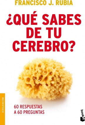 ¿Qué sabes de tu cerebro?