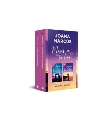 Meses a tu lado (pack en edición limitada con: Antes de diciembre y Después de diciembre)