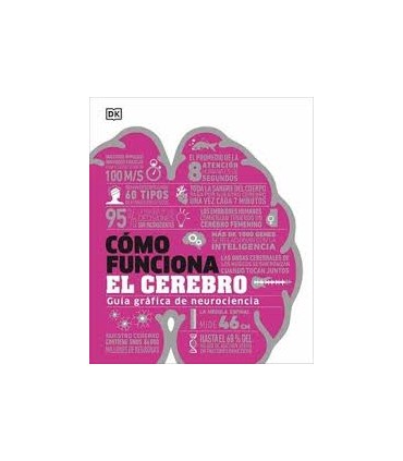 Cómo funciona el cerebro