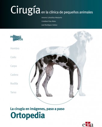 Cirugía en la clínica de pequeños animales. Ortopedia